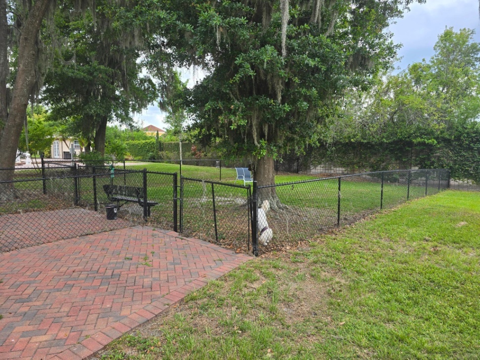 Dog Park