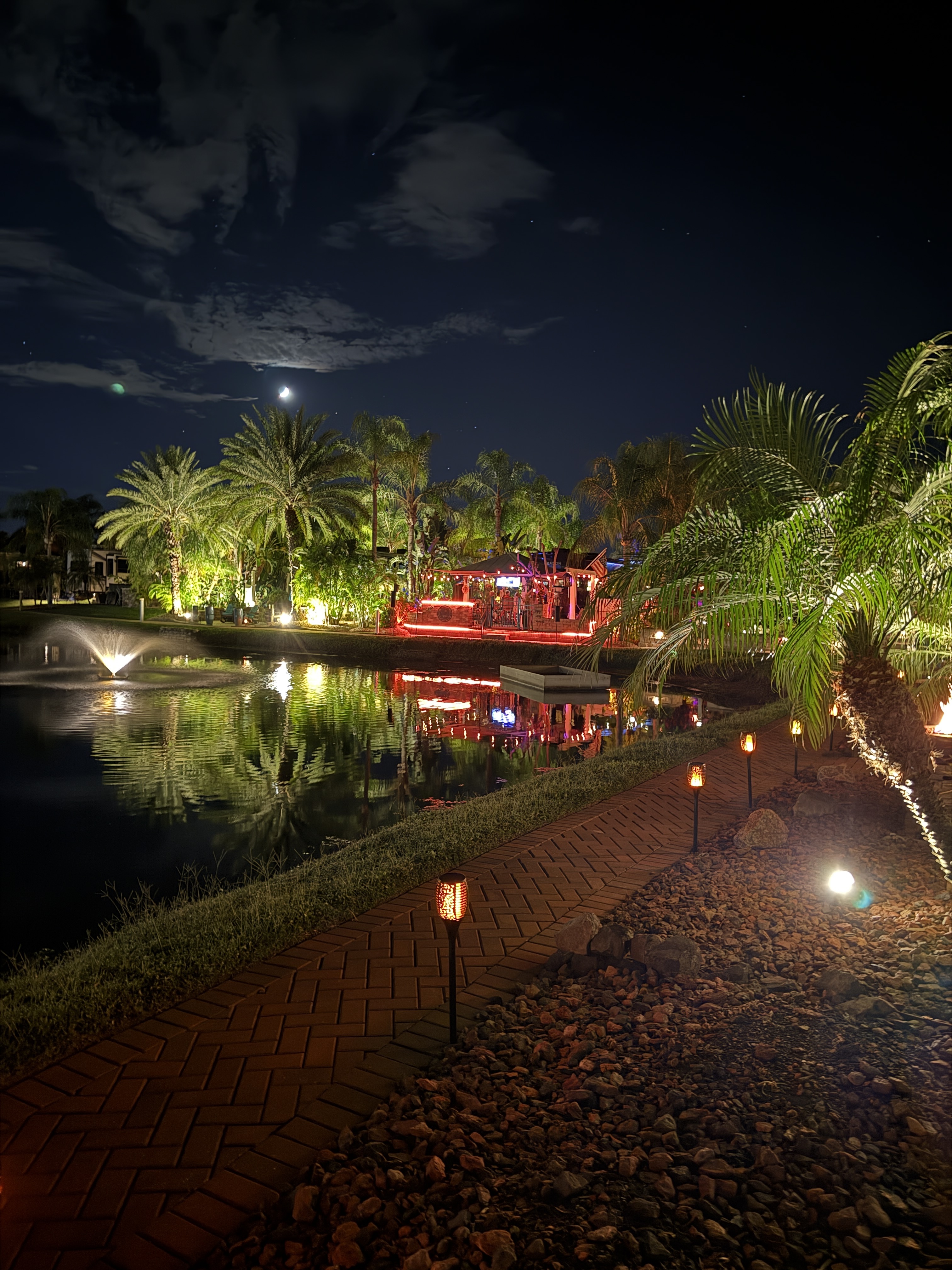 The Woods at Night is Gorgeous