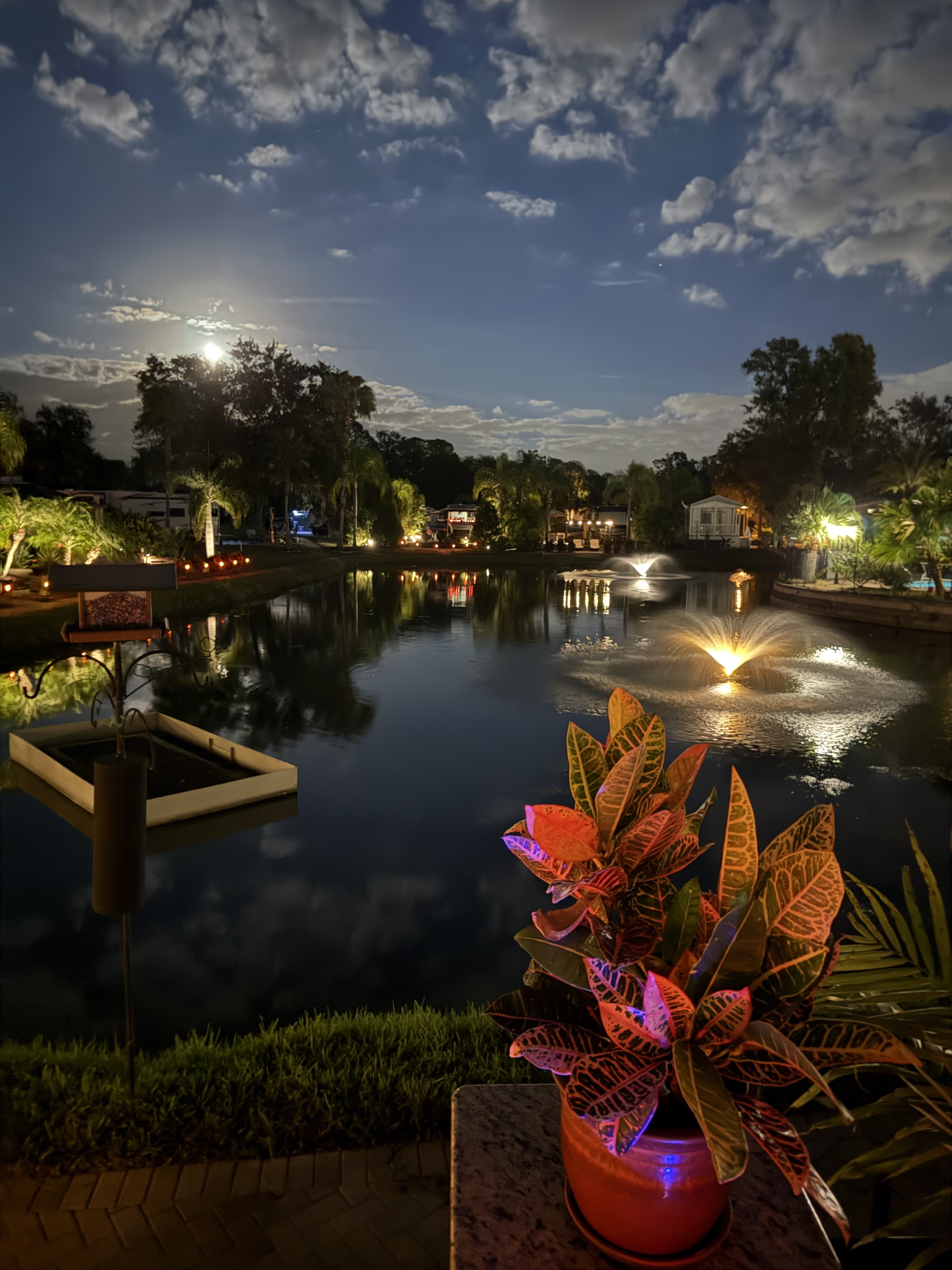 A view from a Lot at Night